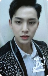 其他 入場卡 / 場限卡 19‘coex冬日慶典限定 wishdol