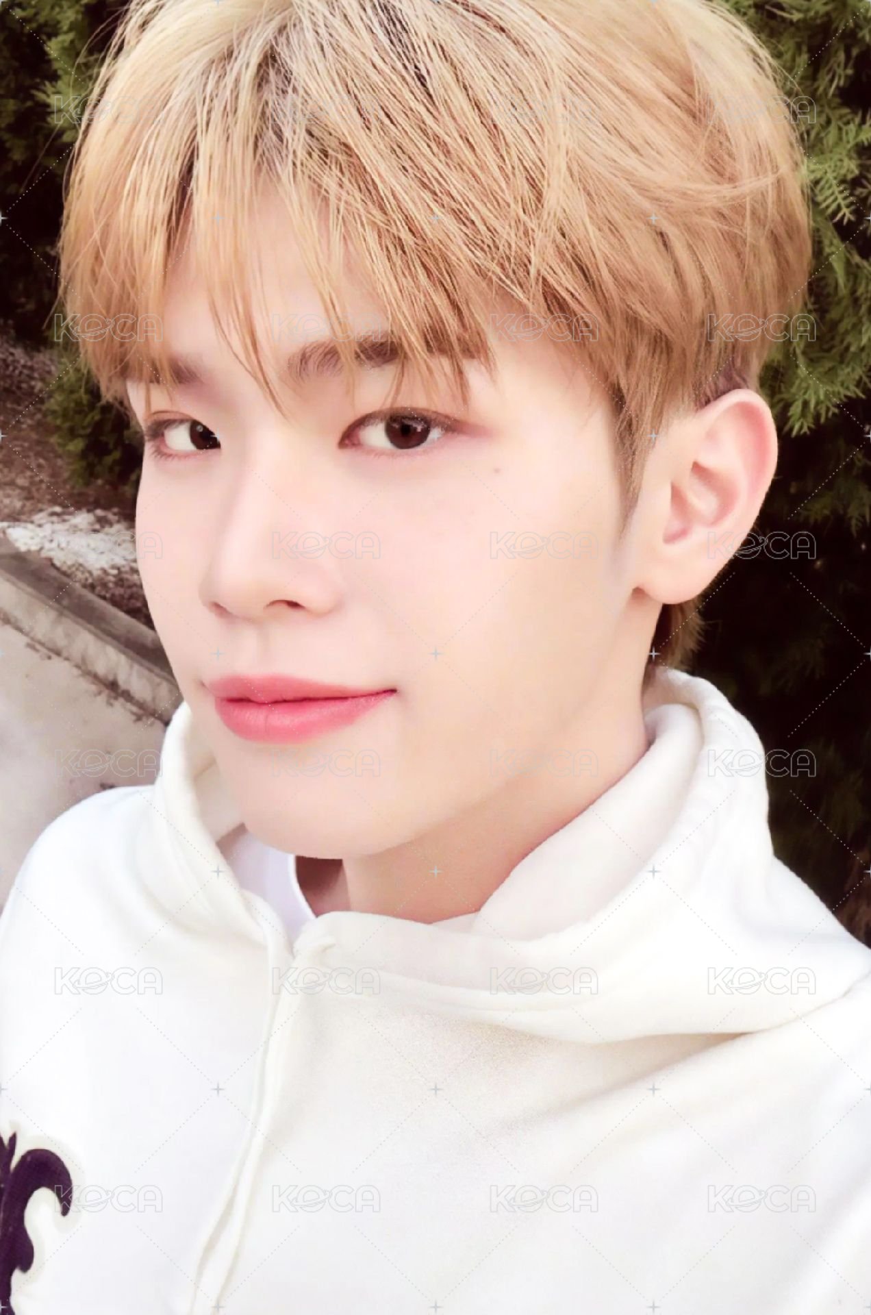 24'SG 年曆卡 固配卡 正面