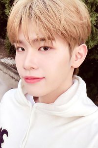 24'SG 年曆卡 固配卡