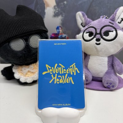 🐻‍❄️瀚率VERNON｜MINI11｜專輯卡 ｜CARAT ver.｜雨衣率