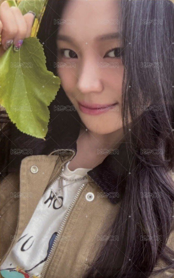 十週年專 wvs 簽售卡  正面