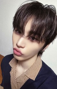 The Action 電子 專輯卡 