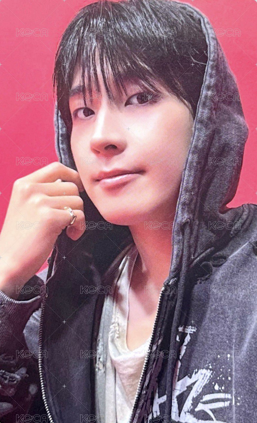 正五 wvs 特典卡 正規五｜ CARAT特典 正面