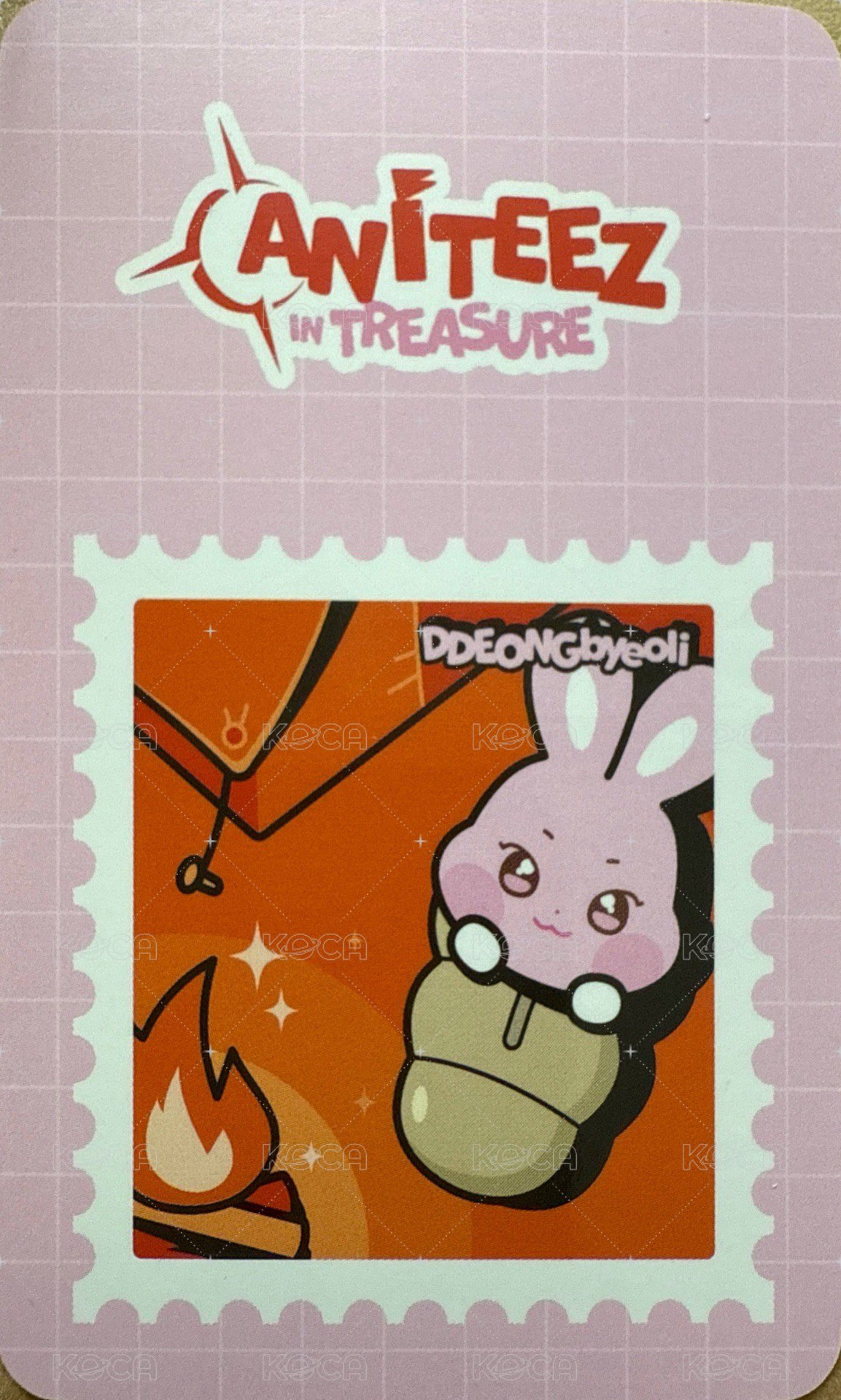 ANITEEZ IN TREASURE 周邊卡 MESH POUCH 背面