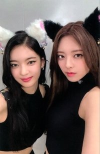 CHESHIRE 專輯卡 雙人卡