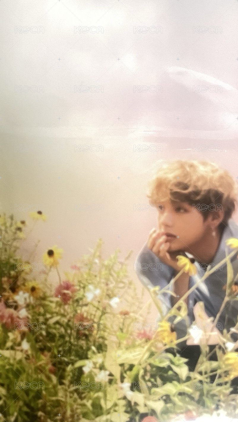 Hybe博物館 生寫真 今日展生寫真 背面