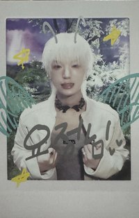 BTL 專輯卡 WVS Albums ver.拍立得