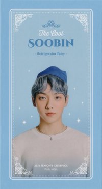 21年曆 wvs 周邊卡 FAIRY PROFILE卡