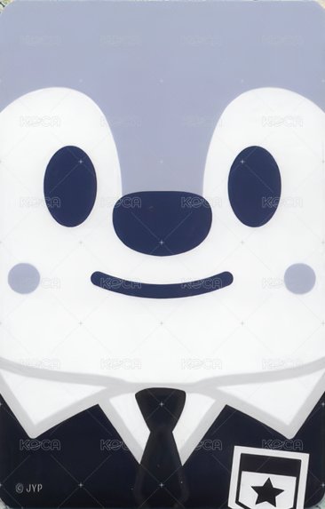 1st 日本巨蛋巡迴 周邊卡 卡套 背面