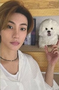 D社寫真 雜誌卡 