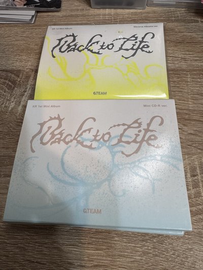 &TEAM BTL拍立得Wvs MiniCD