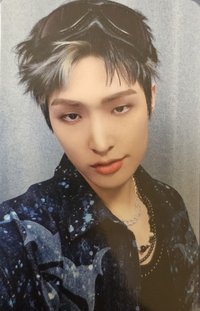 WILL 快閃店 卡冊 周邊卡 