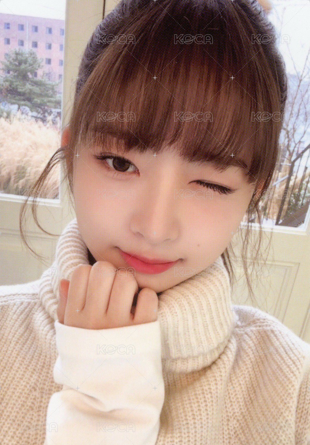 二期會員 會員禮卡  正面