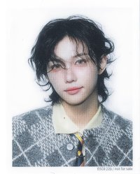 Hollow 專輯卡 FC盤 證件照