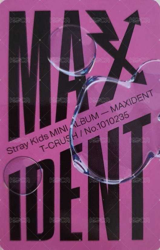 MAXIDENT 專輯卡 T-Crush ver. 背面