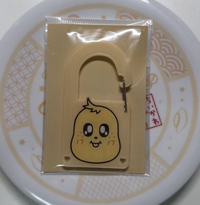 SEVENTEEN MINITEEN 登山扣