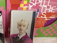 ⭐️迷12克拉盤-碩