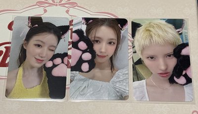 We are muvve3.0貓爪 麵娟刷