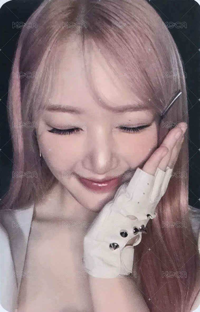 十週年專 bdm 簽售卡  正面