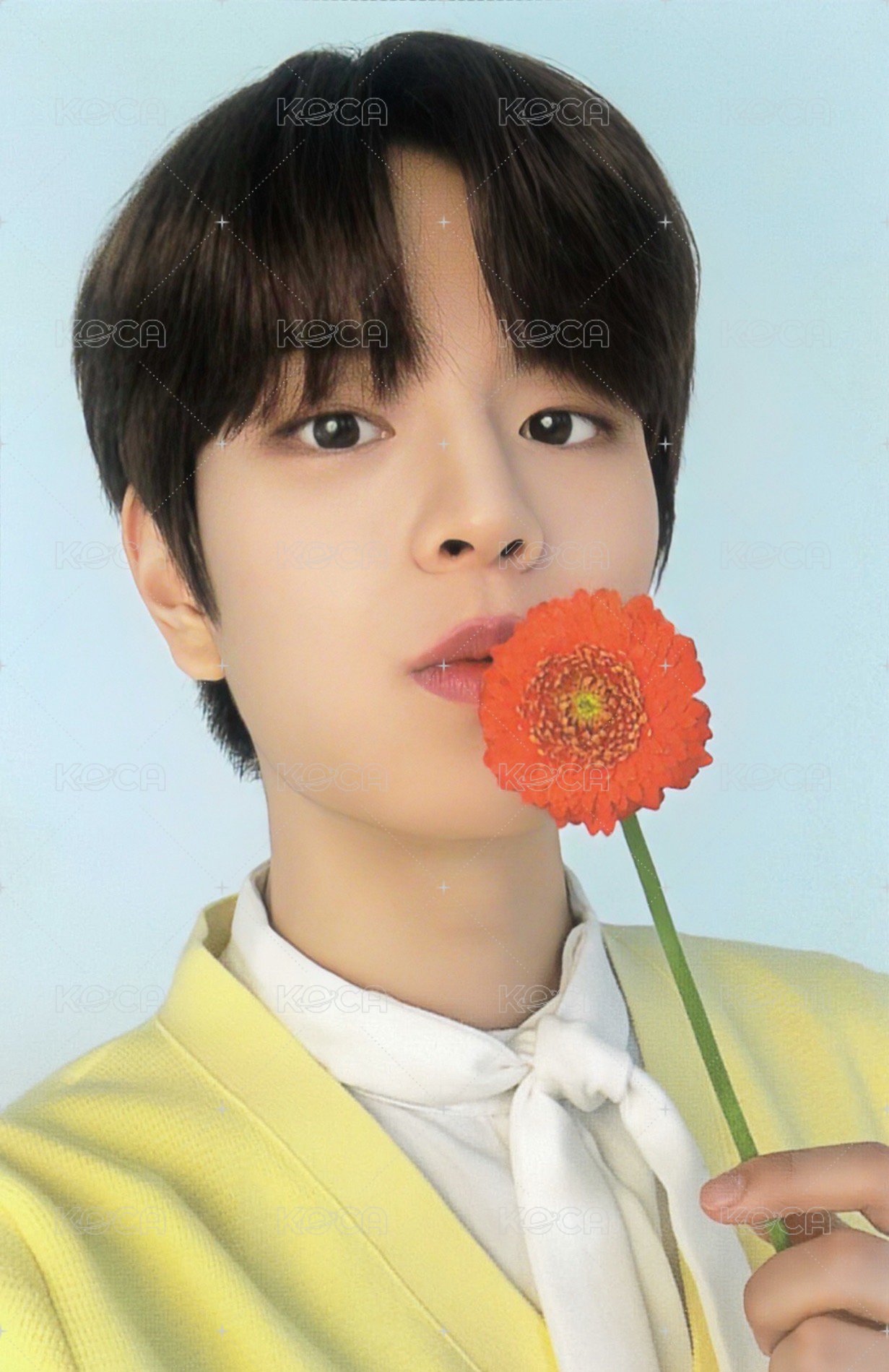 NACIFIC 代言卡 10.0 背面