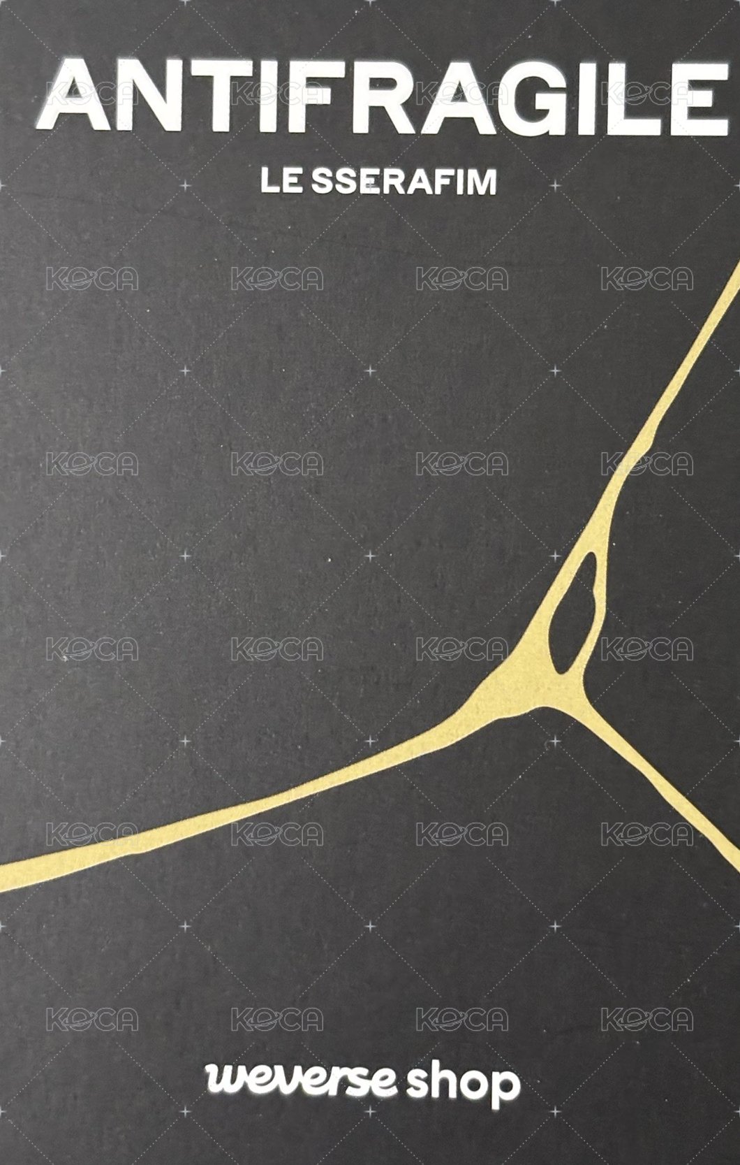 ANTIFRAGILE wvs PB預售 特典卡 閃卡 背面
