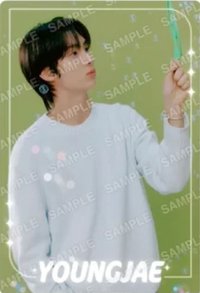 萬代 BANDAI 周邊卡 餅乾卡