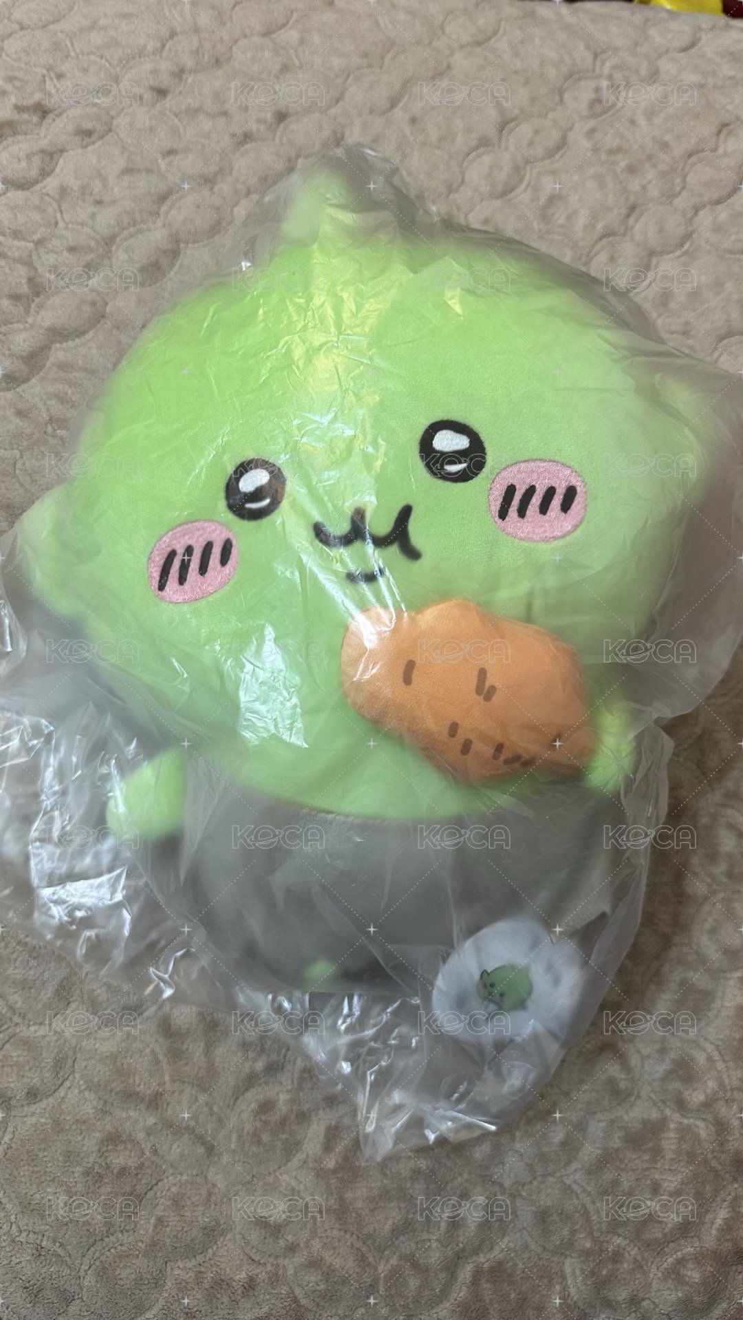 雞腿款