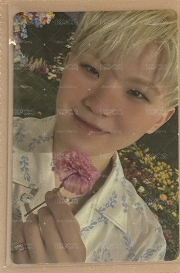 woozi 正四後續 專輯卡