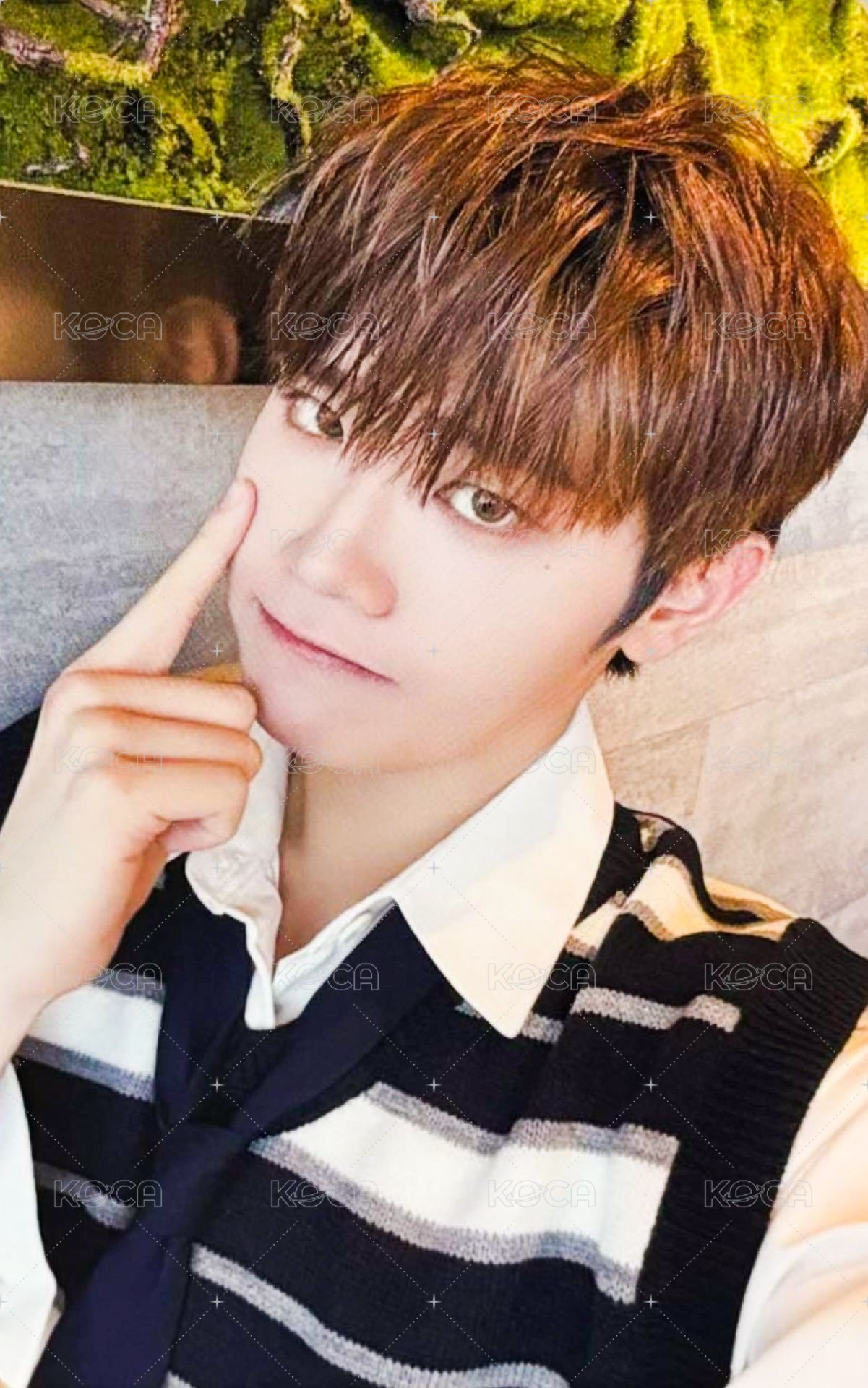 世巡TW 電影卡 第一週 正面