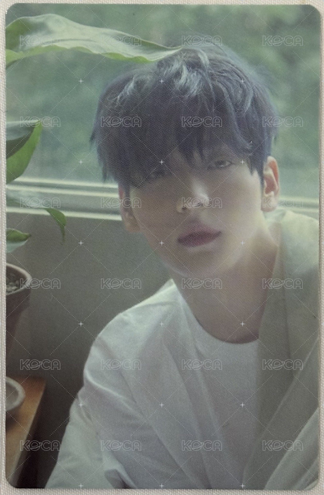 迷七 周邊卡  正面