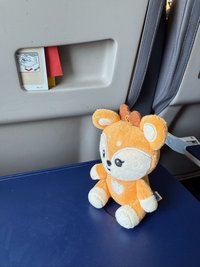 小肥啾