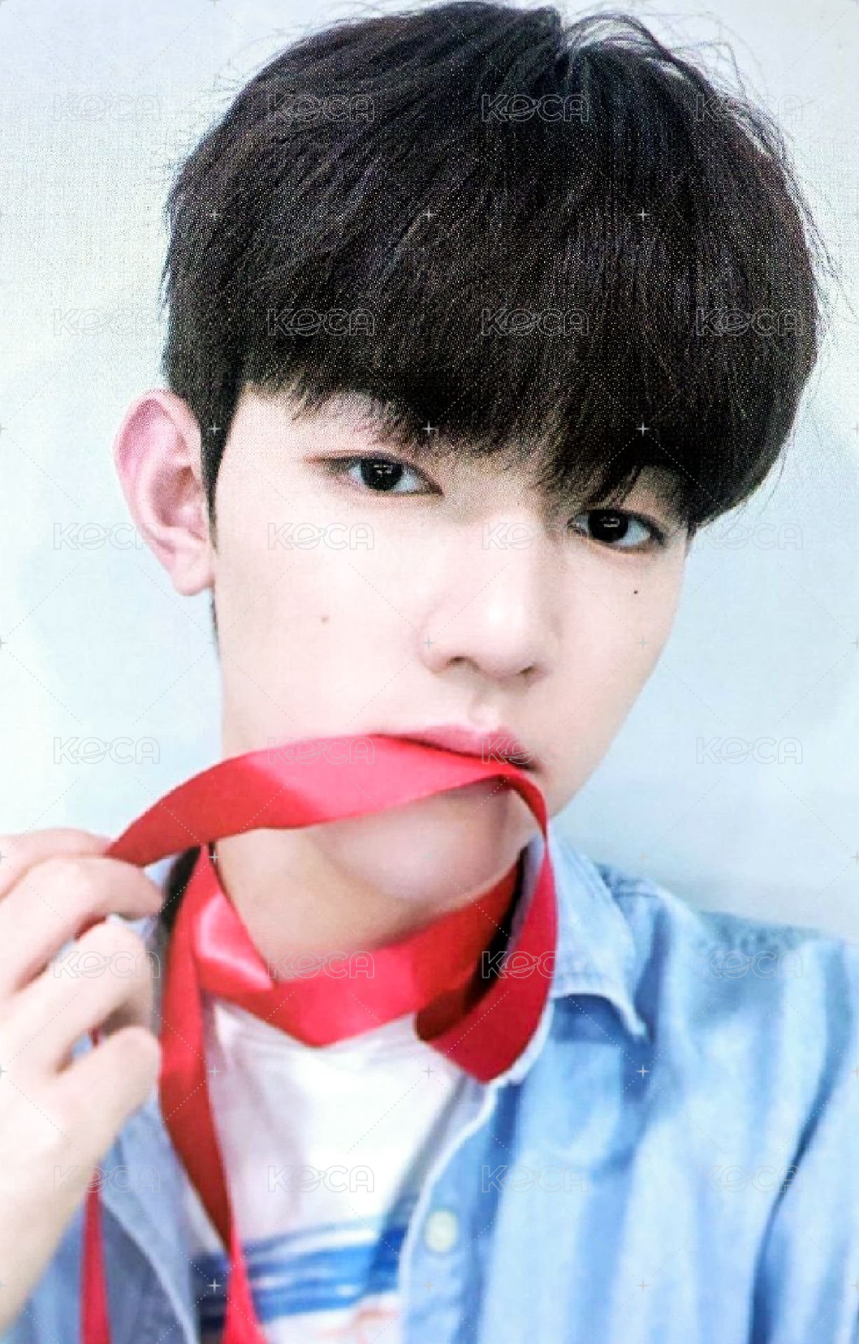 迷一 wm 特典卡 絲帶 ver. 正面