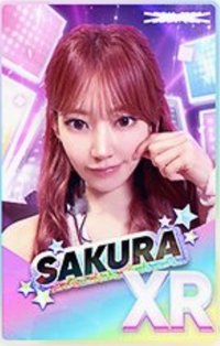 25‘巡迴 東蛋安可 遊戲卡 