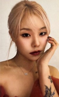 入場卡 / 場限卡 