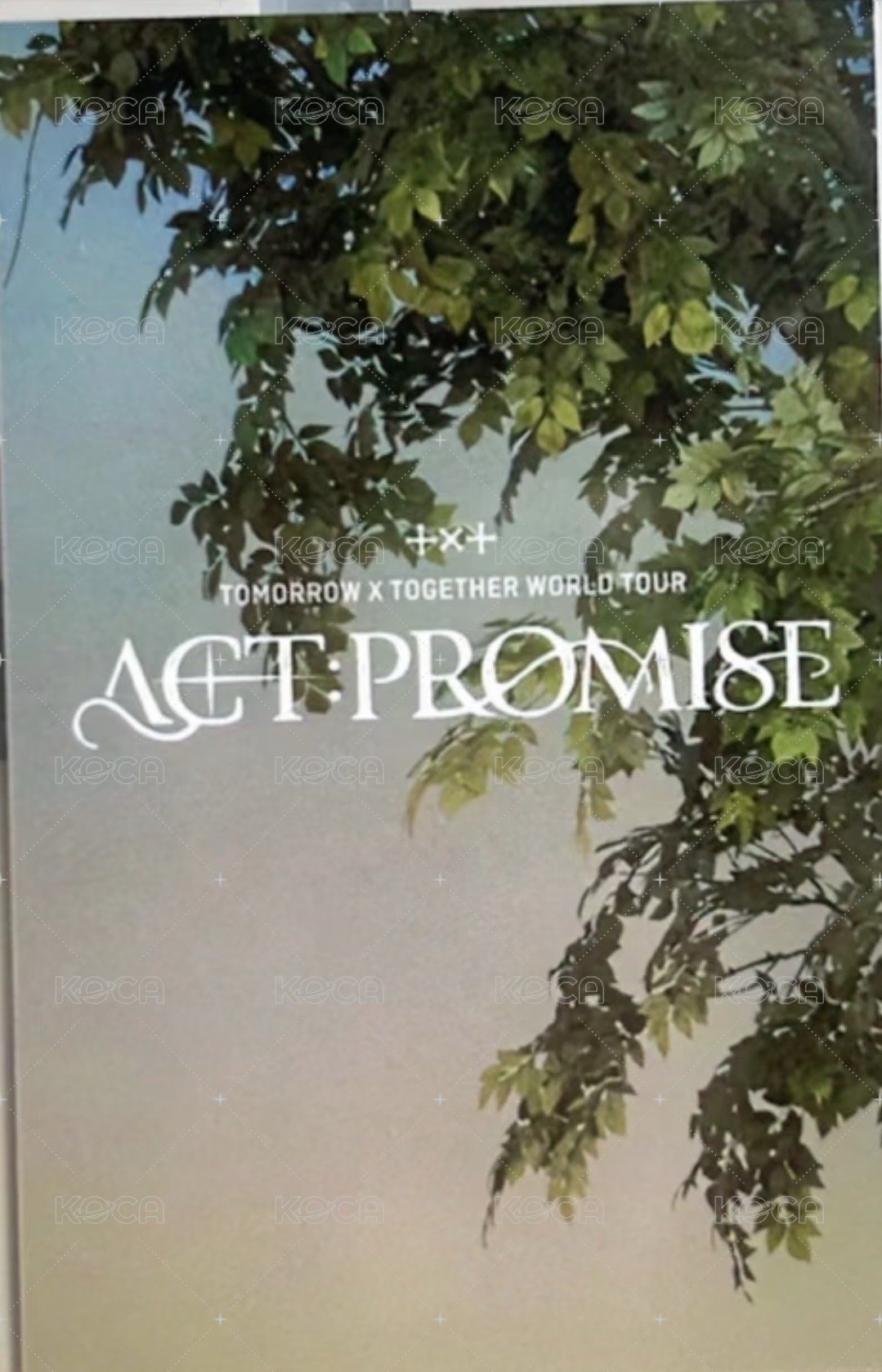 24’巡迴 入場卡 / 場限卡  背面