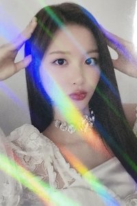 ENTWURF ms 2.0 簽售卡 