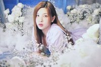 極光寫真 固配 明信片 