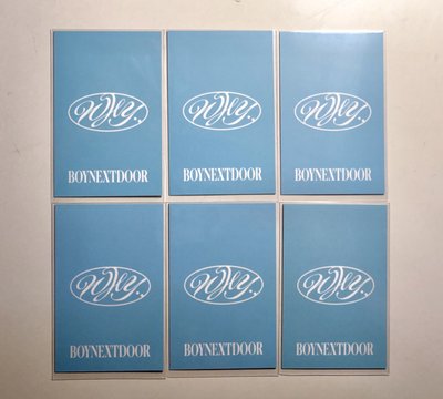 ✴️ WHY.. 環球預售 pb 磨砂材質 官拍 水濛感小卡