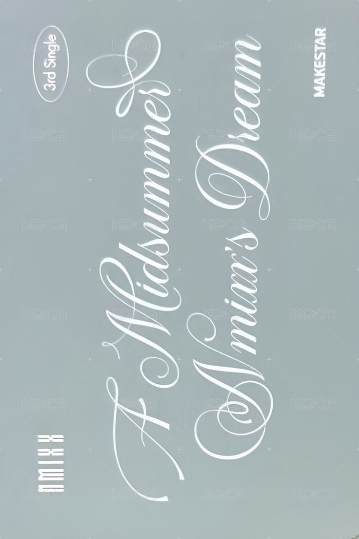 仲夏夜 ms 5.0 簽售卡 啦啦隊 背面