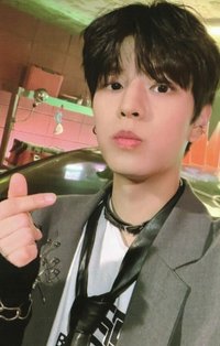 MAXIDENT am 特典卡 