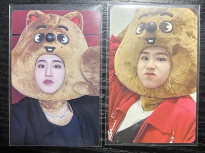 SKZ 韓知城 大頭兩張不拆