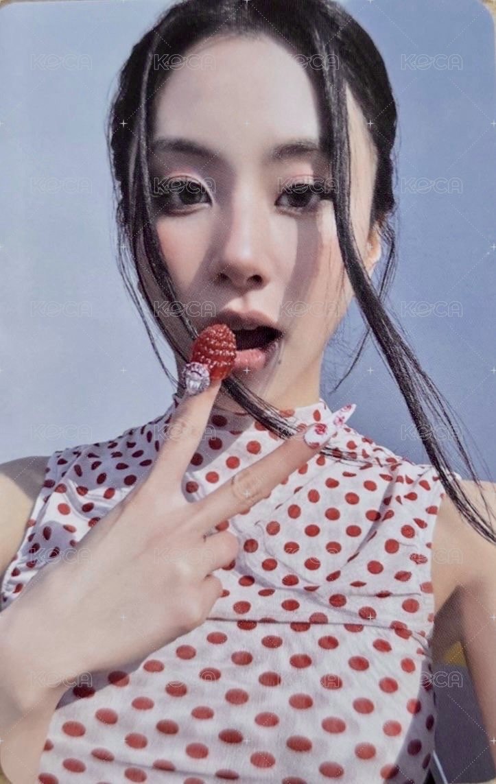 正規四 專輯卡 ver.is 正面