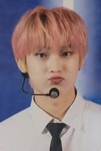 22年D社 雜誌卡 卡冊卡