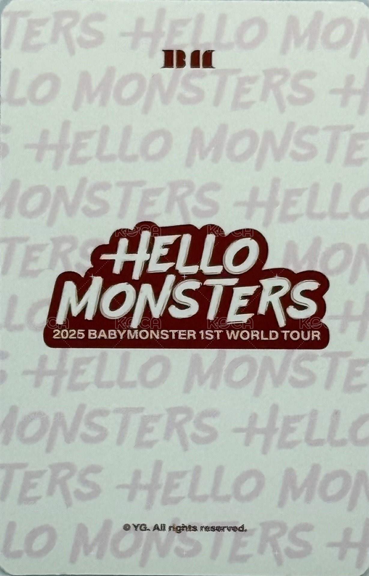 25’世巡 wvs 周邊卡 首爾場周卡冊卡 背面