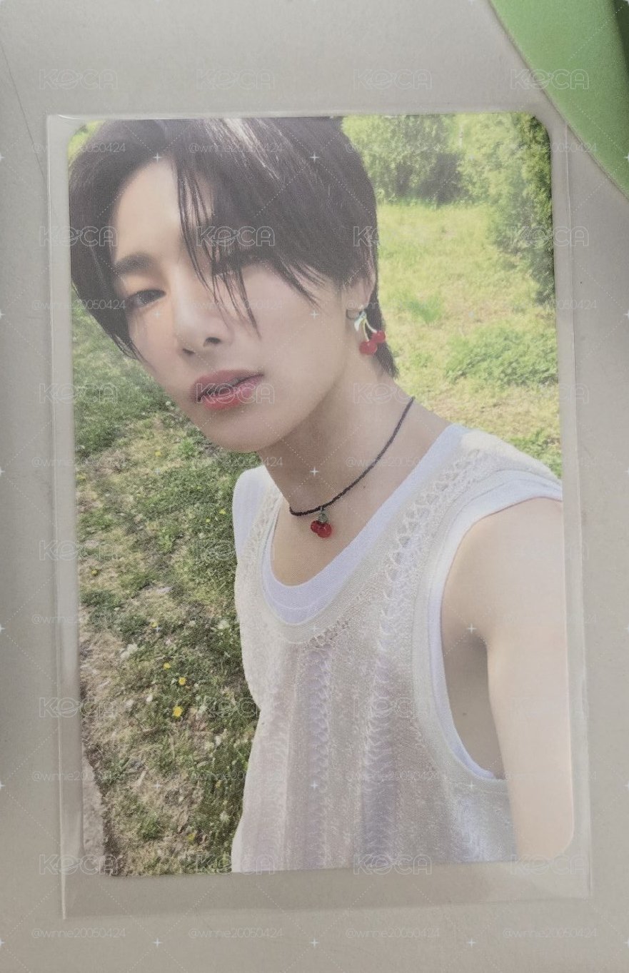 I.N MAXIDENT小卡
