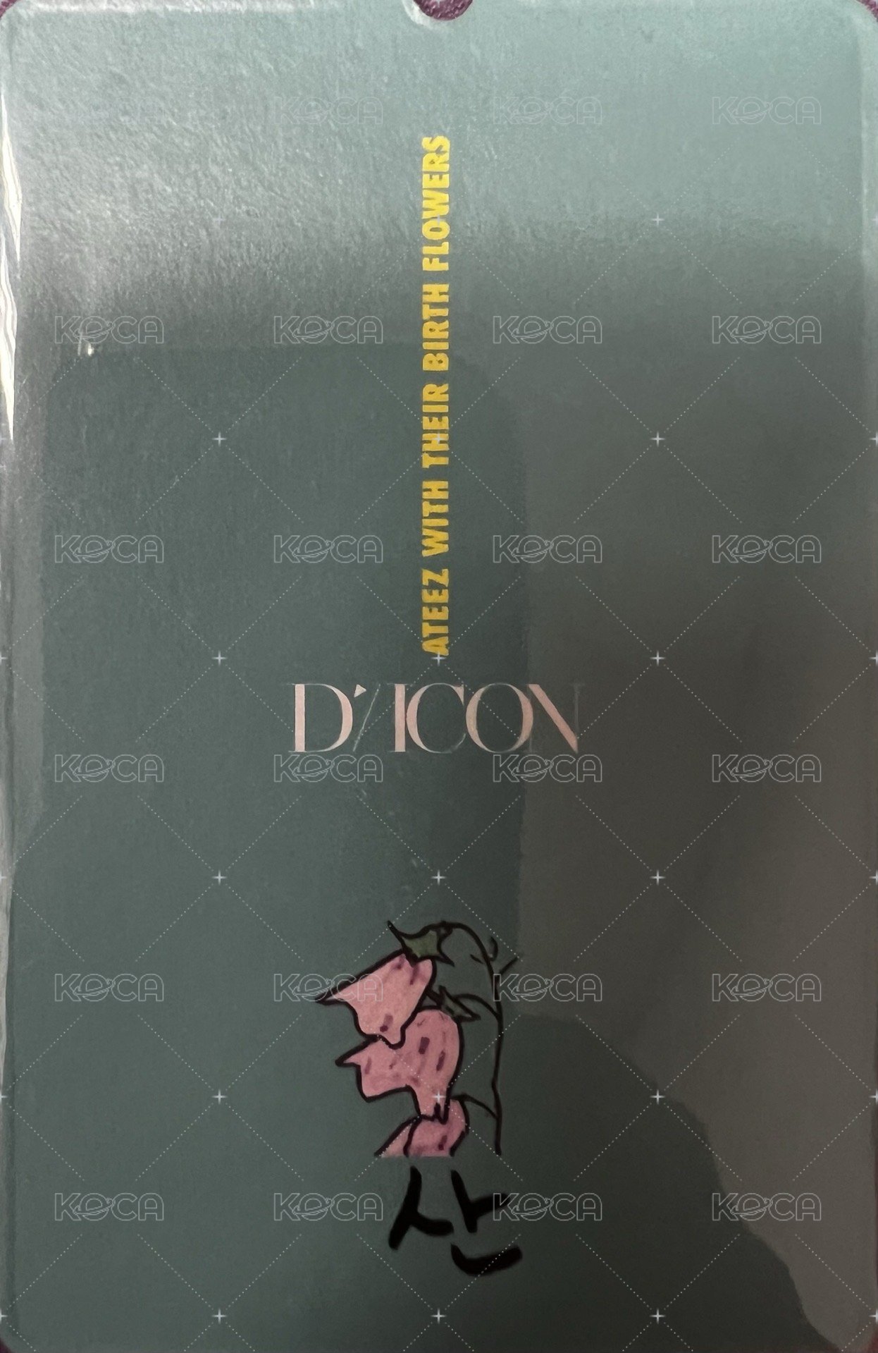 DICON寫真 周邊卡  背面