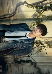 Hollow 期間生產限定盤 明信片 隨機