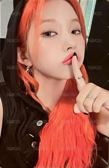 24’演唱會 iDOL 演唱會 DVD / CD 卡  正面