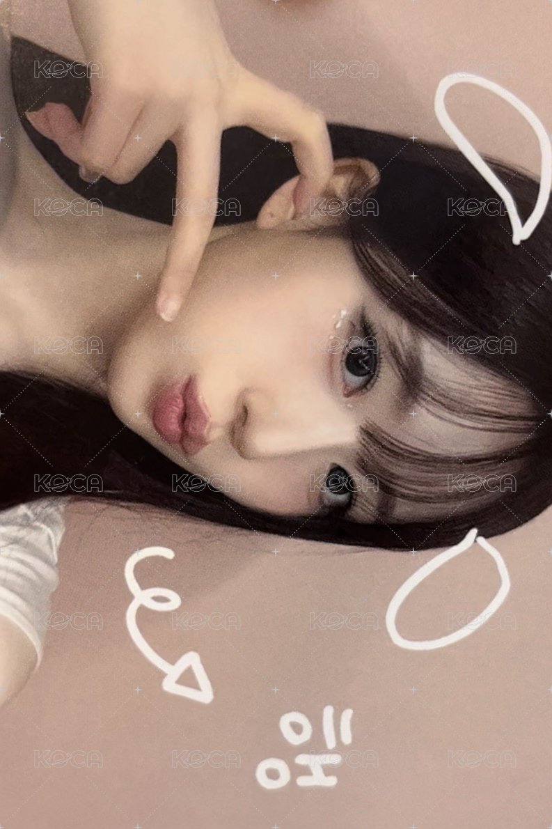 FORWARD ms 線上 5.0 簽售卡 寵物鏡頭嫄 正面