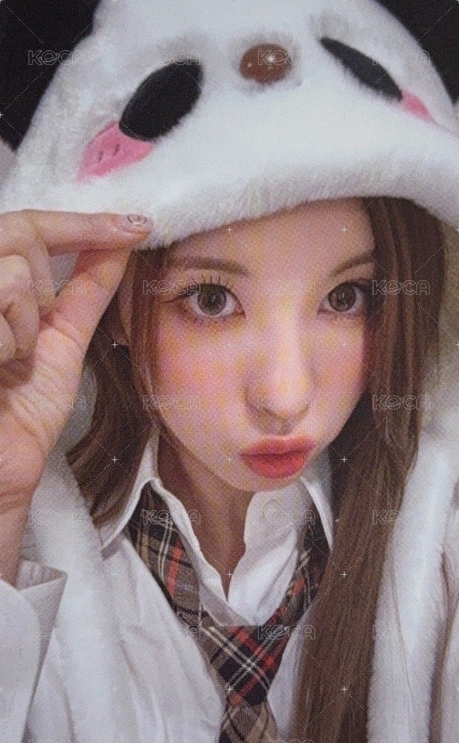 expérgo ms 2.0 幸運卡 熊貓裴 正面